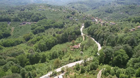 Zonguldak Ormanları Bahar Manzarasıyla Dronla Görüntülendi