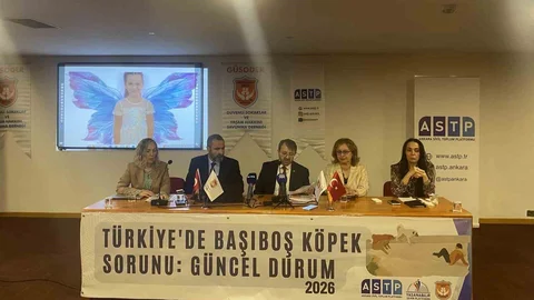 Başıboş Köpek Sorunu Üzerine Panel Yapıldı