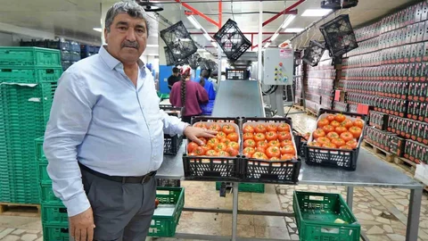 Antalya'da Domates Fiyatları Yükseliyor