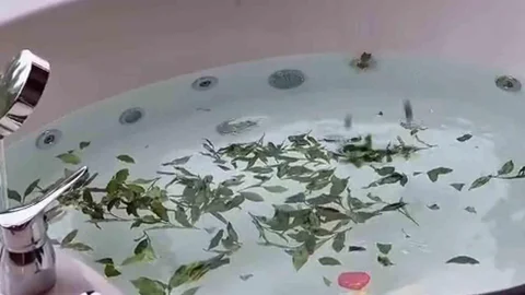 Rize'de Çay Banyosu ve Jakuzi Bir Arada