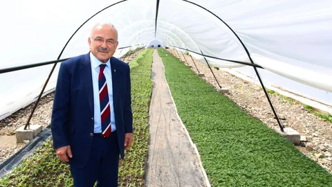 Ordu'da Çiçek Üretimi İle Şehir Güzelleşiyor