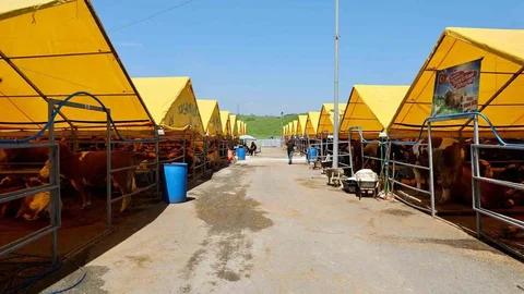 Büyükçekmece'de Kurban Kesim Tesisi Hazır