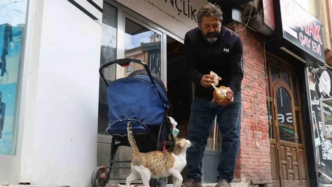 Anne Kedinin Yavrusuna Olan Şefkati Duygusal Anlar Yaratıyor
