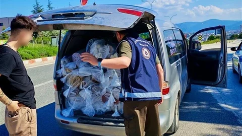 Bilecik'te Mobil Göç Denetimi Yapıldı