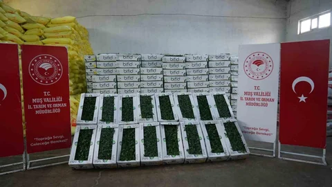 Muş'ta 586 Bin Fide Dağıtımı Yapıldı