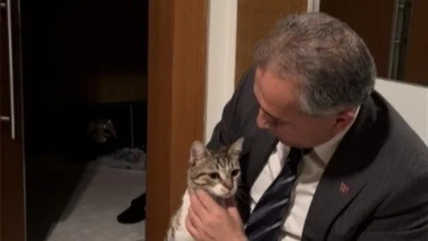 Osmaniye'de Kedi Kapıyı Açtı
