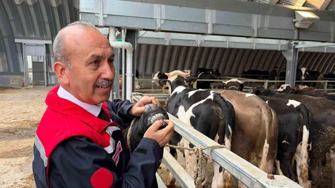 Balıkesir'de Kesim Yeri Onayı Açıklandı