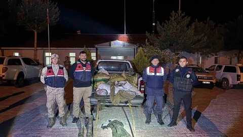 Muradiye'de Kaçak İnci Kefali Yakalandı