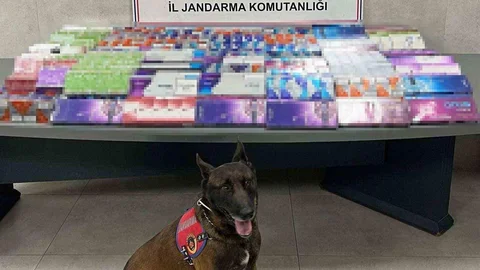 Sakarya'da Kaçakçılık Operasyonu Yapıldı