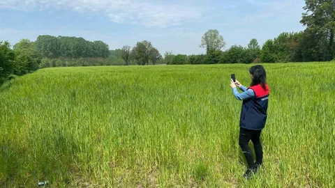 Düzce'de Tarım Arazileri Denetleniyor