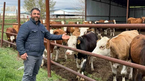 Eskişehir'de Kurbanlıklar Tükendi