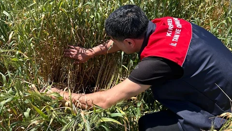 Bilinçsiz İlaç Kullanımı Zararlı Etkiler Yaratıyor