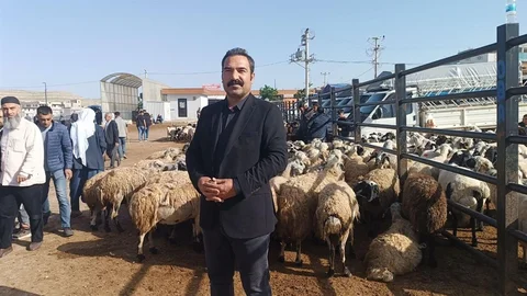 Şanlıurfa'da Besici ve Komisyoncu Rekabeti