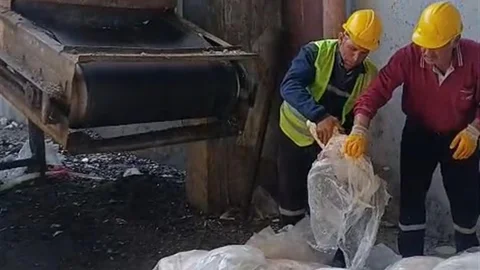 Tekirdağ'da 1 Ton Mumbar İmha Edildi