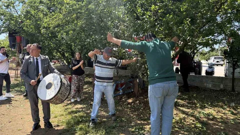 Bursa'da Davullu Zurnalı Erik Hasadı Yapıldı