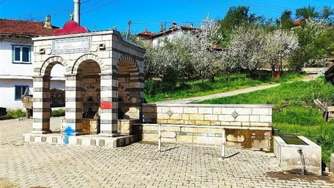 Gediz Cebrail Köyü'nde Doğanın Güzellikleri
