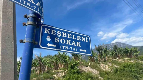 Antalya'da Kaplumbağa Kurtarma Örneği