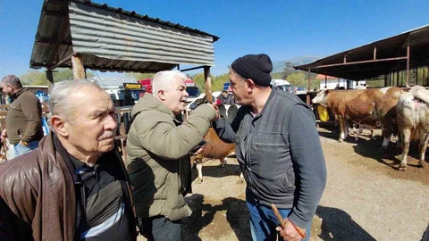 Bolu'da Hayvan Pazarında Pazarlık Süreci