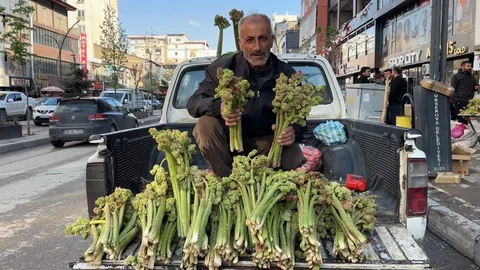 Yüksekova’da Uçkun Satışı Başladı