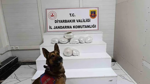 Diyarbakır'da Narkotik Operasyonu Yapıldı