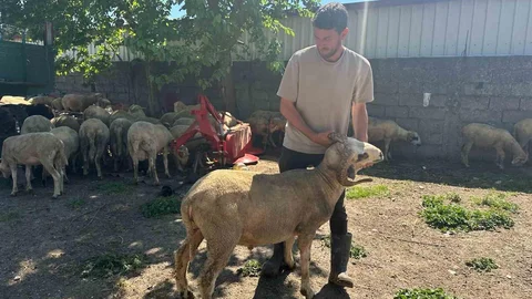Bursa'da Kurbanlık Fiyatları Uygun Kalıyor