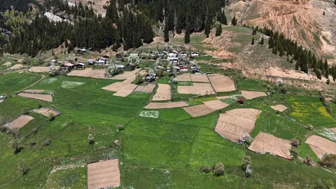 Artvin'de İmece Usulü Tarım Uygulamaları