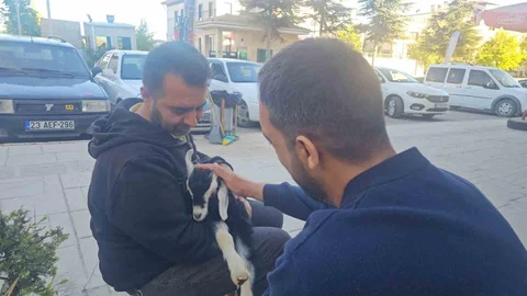 Elazığ'da Oğlak Maskot Oldu