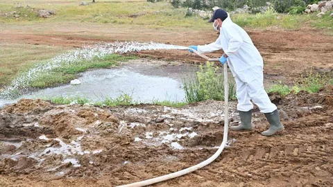 Antalya'da Kurban Satış Alanlarında İlaçlama Yapılıyor