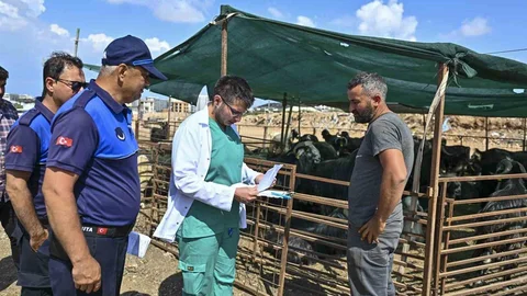 Muratpaşa'da Kurban Bayramı Hazırlıkları Tamamlandı