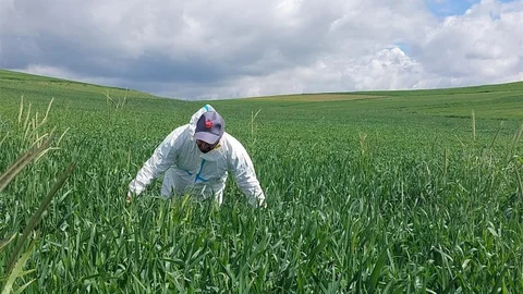 Yozgat’ta Süne Mücadelesi Başladı