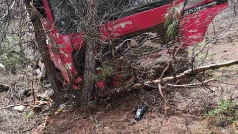 Burdur'da Vinç Ormanlık Alana Daldı