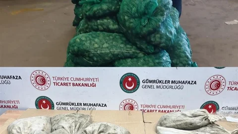 Kapıkule'de Kaçak Midye Ele Geçirildi