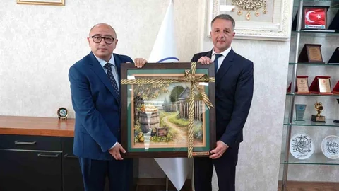 Erdemli ve Braila Kardeş Şehir Oldu
