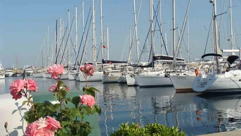 Türkiye Kıyıları Dünya Markası Oluyor