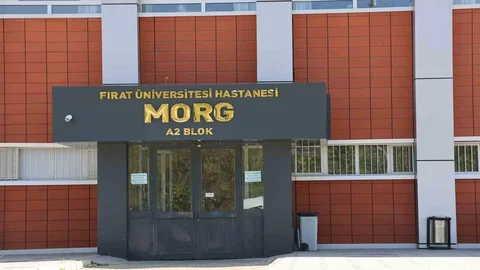 Elazığ'da Tüfek Kazası