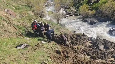 Hakkari'de Bataklığa Saplanan İnek Kurtarıldı