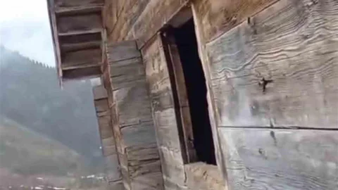 Rize'de Ayı ile İlginç Diyalog