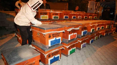 Selçuklu'da Arıcılara Destek Projesi Yenilendi