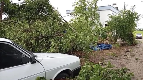 Osmaniye'de Hortum Ağaçları Söküp Gitti