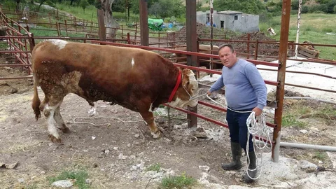Paşaköy Efesi 420 Bin TL’ye Satışta