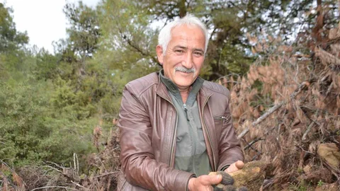 Bilecik'te Yangın Sonrası Mantar Hasadı
