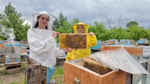 Genç Kadın Girişimciden 350 Kovanlık Başarı Düzce'de