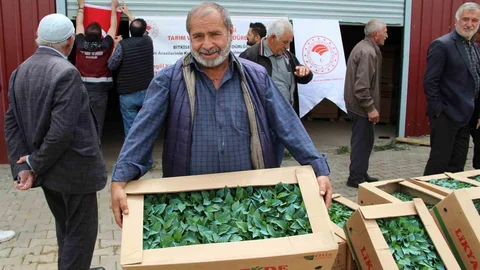 Bingöl'de 330 Bin Fide Dağıtımı Gerçekleşti