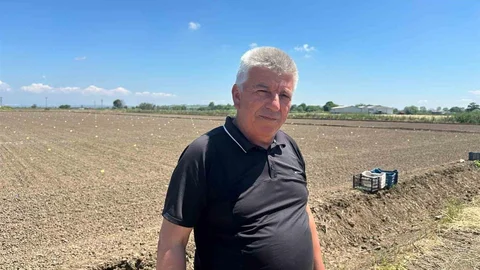 Yağışlar Karacabey Ovası’na Bereket Getirdi