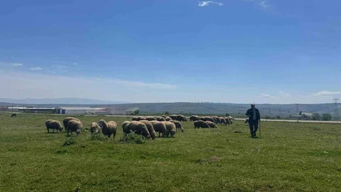 Tekirdağ'da Tarım Sektöründe Üretim Değerlendirildi
