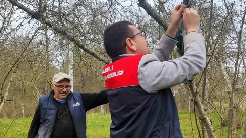Kırklareli'de Kahverengi Kokarca İzleme Çalışmaları