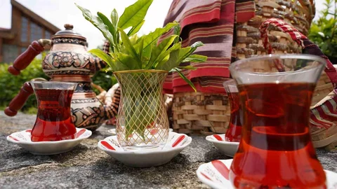 Rize'de Dünya Çay Günü Kutlandı