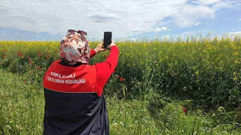 Kırklareli'nde Dijital Tarım Uygulamaları