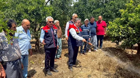 Mersin'de Akdeniz Meyve Sineğiyle Mücadele Devam Ediyor