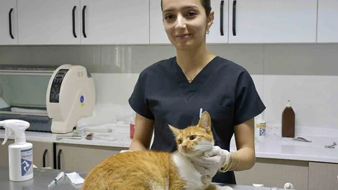 Kuşadası’nda Sokak Hayvanlarına Destek